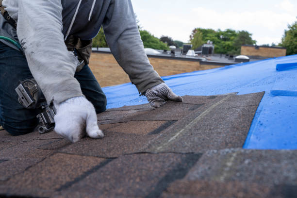 Roof Waterproofing Services in Mannington, WV