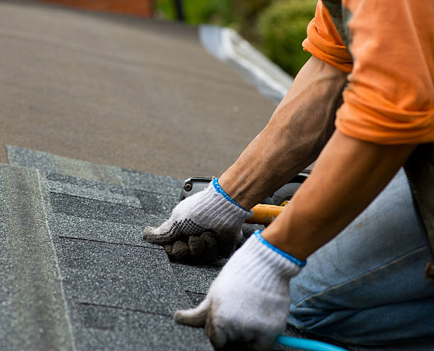 Best Storm Damage Roof Repair  in Mannington, WV