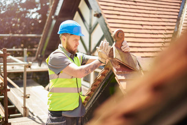 Best Roof Gutter Cleaning  in Mannington, WV